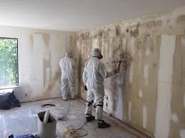 Biohazard Mold Removal in Centerville, MN